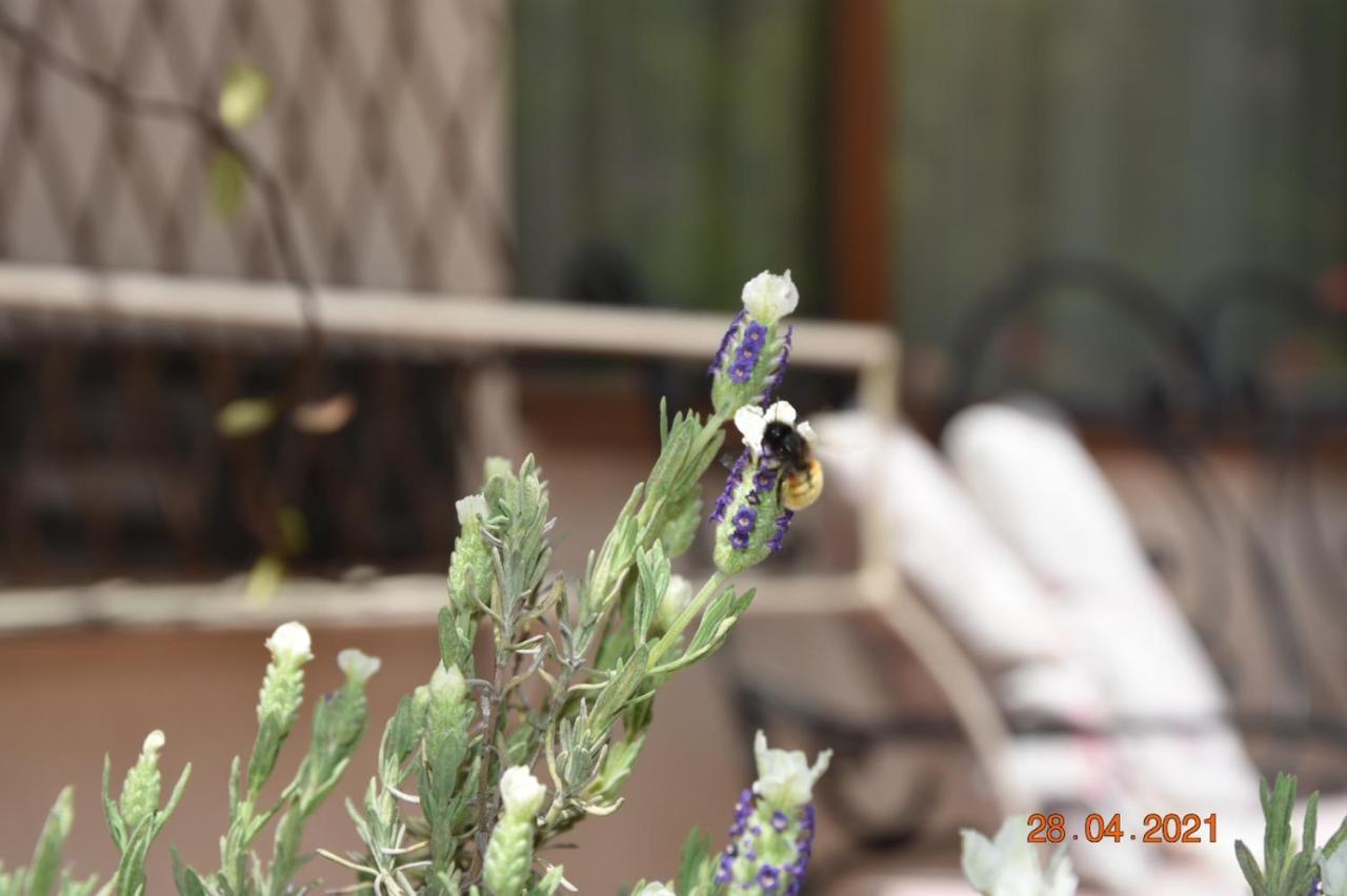 Princess Apartment Sandanski Bagian luar foto