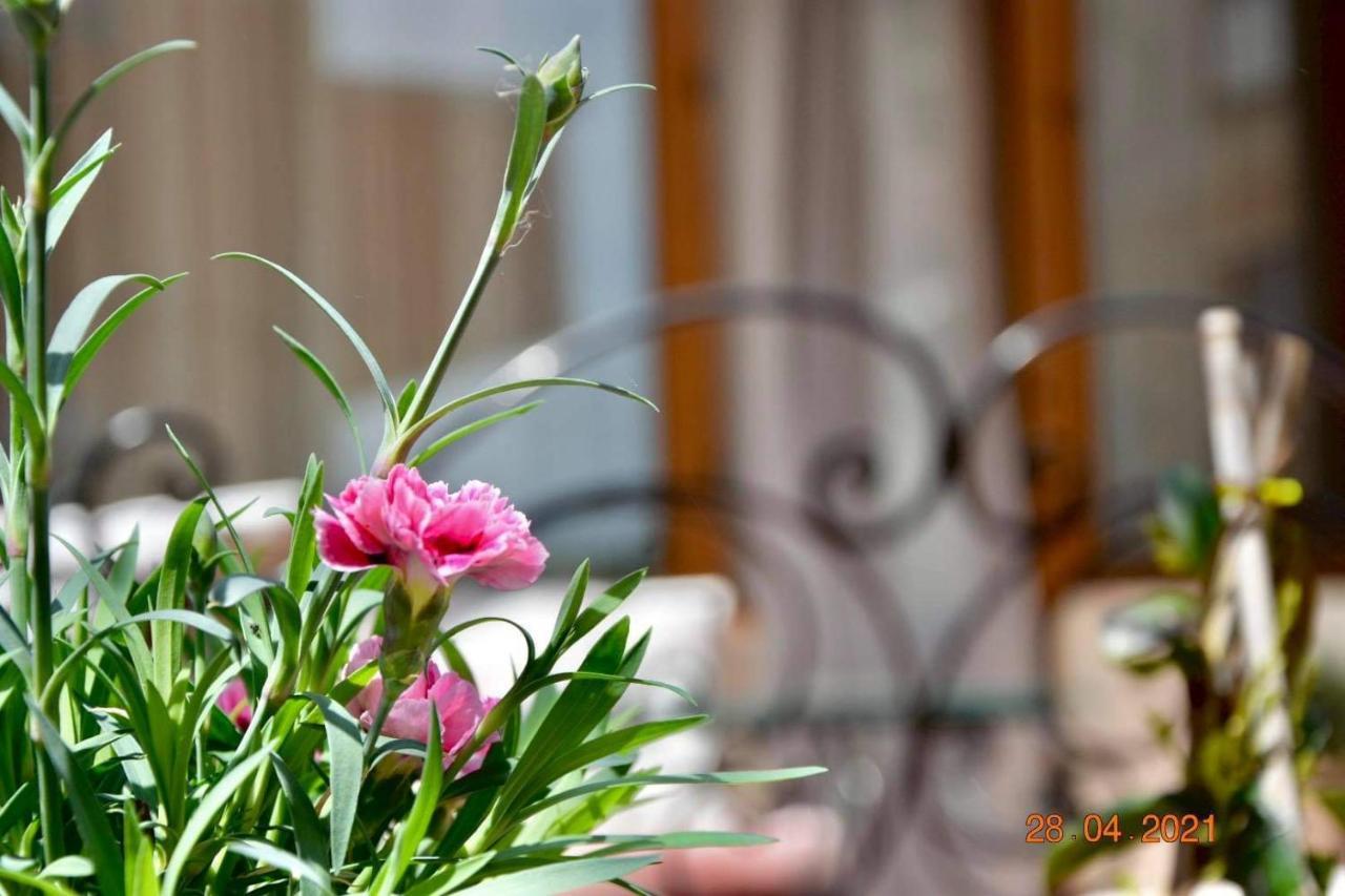 Princess Apartment Sandanski Bagian luar foto